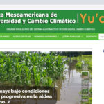 Revista Yuam - Revista Mesoamericana de Biodiversidad y Cambio Climático
